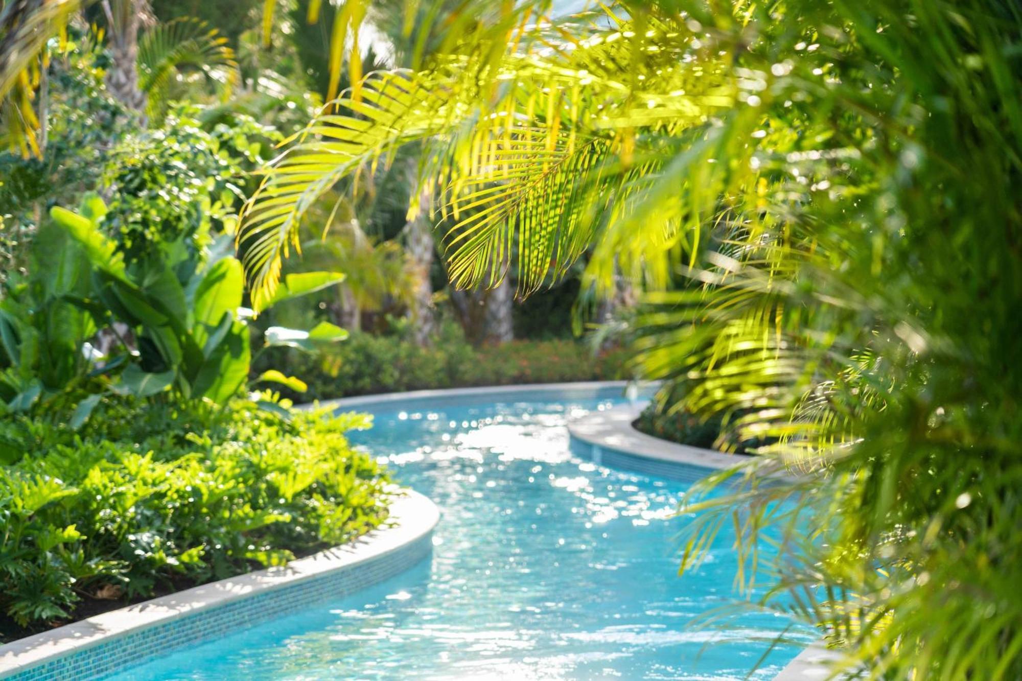The Ritz-Carlton Naples, Tiburon Hotel Naples Park Buitenkant foto